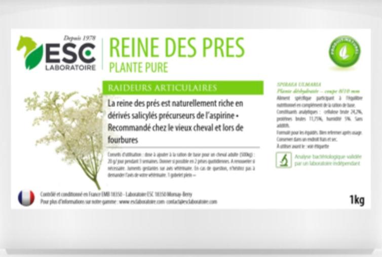 REINE DES PRÈS - ESC