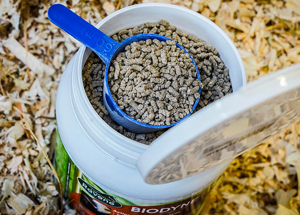 RAVENE - BIODYNE 1KG