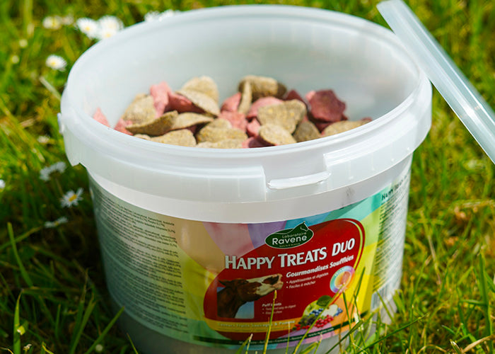 RAVENE - HAPPY TREATS DUO 2KG