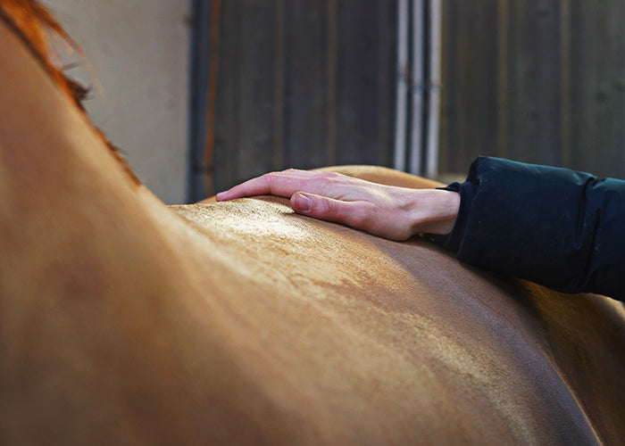 RAVENE - KYNESYL 250ML