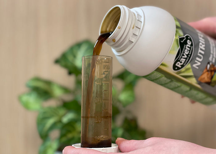 RAVENE - NUTRIFLEX 500ML