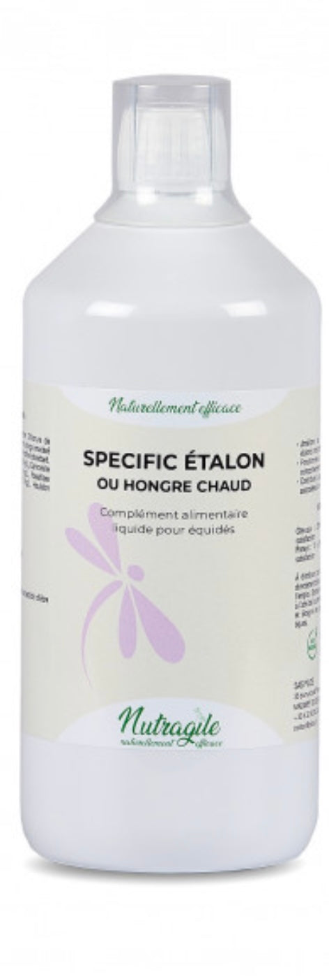 Spécific étalon