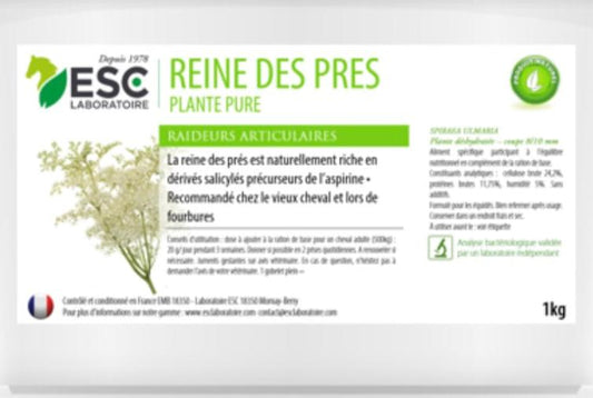 REINE DES PRÈS - ESC