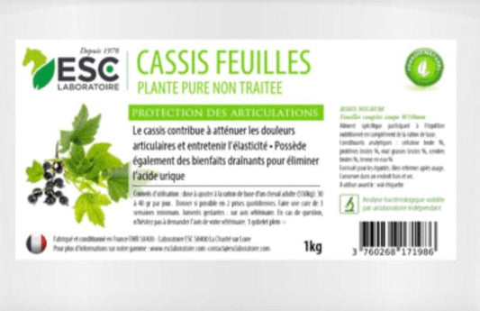 CASSIS ECS
