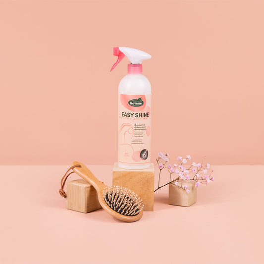 RAVENE - SPRAY DÉMÊLANT EASY SHINE 750ML