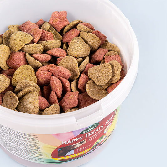 RAVENE - HAPPY TREATS DUO 2KG