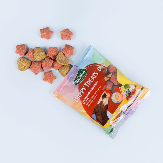 RAVENE - HAPPY TREATS DUO 200G