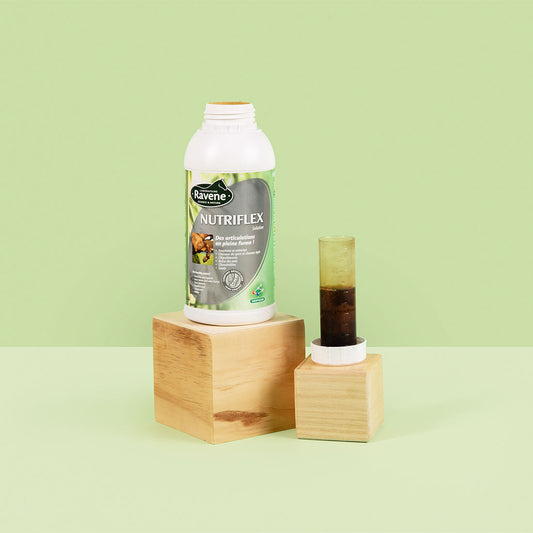 RAVENE - NUTRIFLEX 500ML