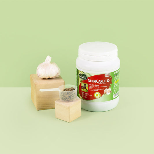 RAVENE - NUTRIGARLIC +  900G